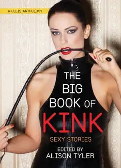 the big book of kink book cover image
