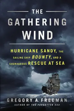 the gathering wind book cover image