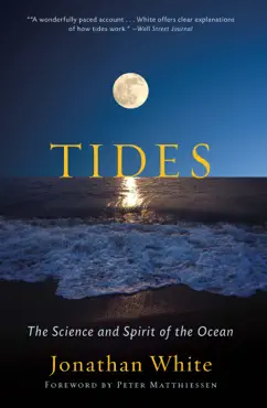 tides book cover image