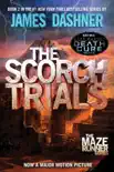 The Scorch Trials synopsis, comments