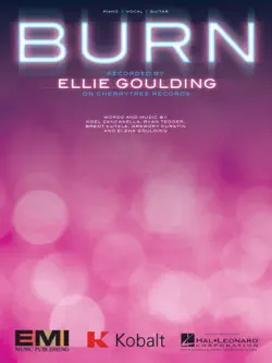 burn book cover image
