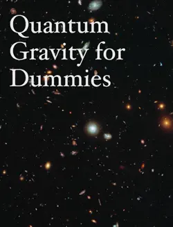 quantum gravity for dummies book cover image