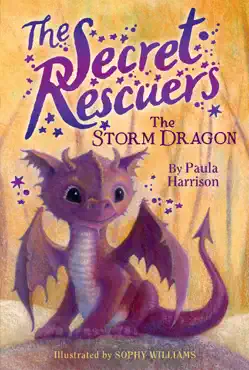 the storm dragon book cover image