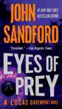 Eyes of Prey synopsis, comments