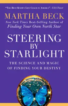 steering by starlight book cover image