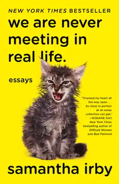 we are never meeting in real life. book cover image