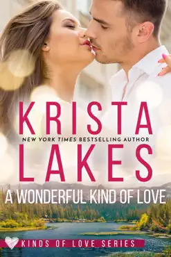 a wonderful kind of love book cover image