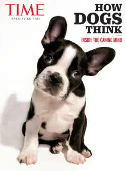 time how dogs think book cover image