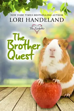 the brother quest book cover image