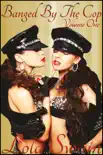 Banged By The Cop, Erotic Cop Romance synopsis, comments