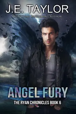 angel fury book cover image