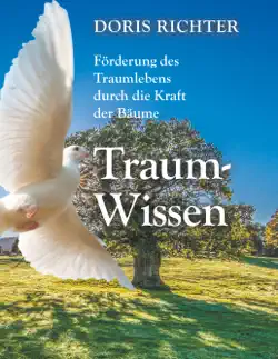 traum - wissen book cover image