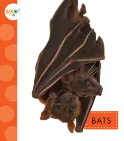 bats book cover image