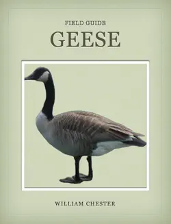 geese book cover image