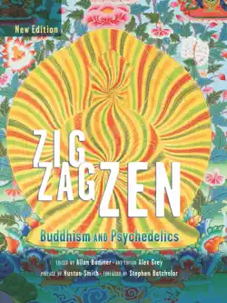 zig zag zen book cover image