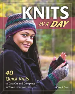 knits in a day book cover image