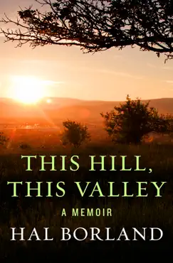 this hill, this valley book cover image