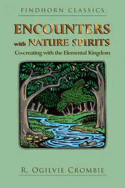 encounters with nature spirits book cover image