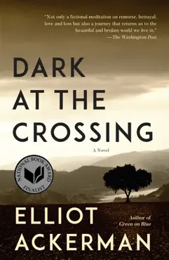 dark at the crossing book cover image