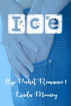 ice book cover image