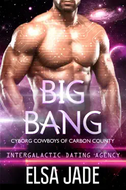 big bang book cover image