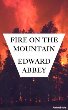 fire on the mountain book cover image