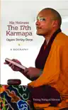 His Holiness The 17th Karmapa Ogyen Trinley Dorje synopsis, comments