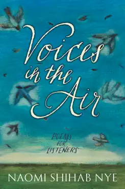 voices in the air book cover image
