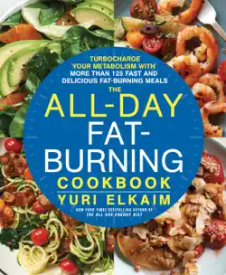 the all-day fat-burning cookbook book cover image