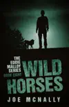 Wild Horses synopsis, comments