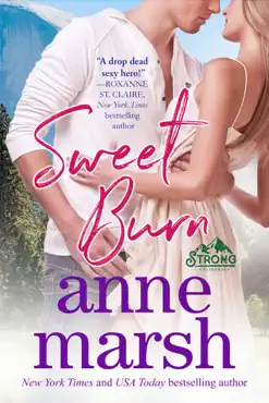 sweet burn book cover image