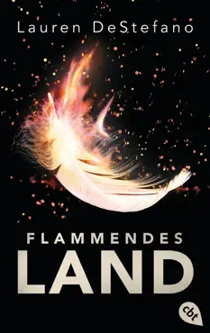 flammendes land book cover image