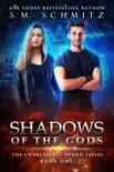 Shadows of the Gods sinopsis y comentarios