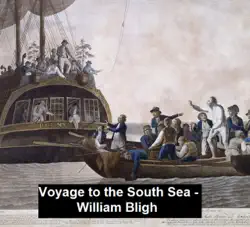 voyage to the south sea book cover image