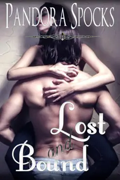 lost & bound book cover image