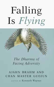 falling is flying imagen de la portada del libro