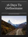 16 Days To Gethsemane synopsis, comments