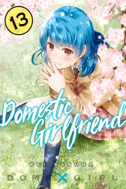 domestic girlfriend volume 13 book cover image
