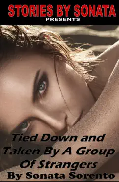 tied down and taken by a group of strangers book cover image