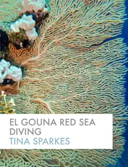 el gouna red sea diving book cover image