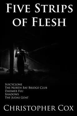 five strips of flesh book cover image