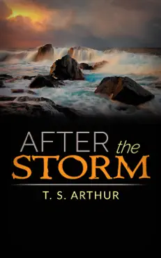 after the storm imagen de la portada del libro