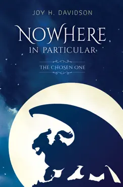 nowhere in particular book cover image