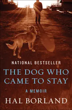 the dog who came to stay book cover image