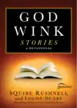 Godwink Stories synopsis, comments