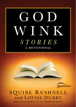 godwink stories book cover image