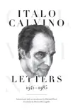Italo Calvino synopsis, comments