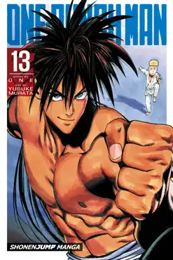 one-punch man, vol. 13 book cover image
