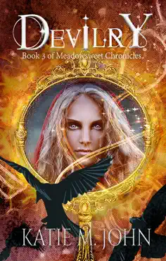 devilry book cover image
