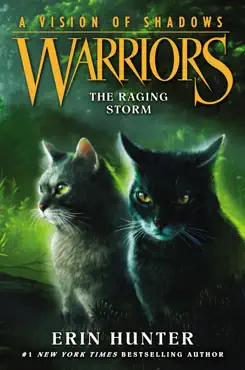 warriors: a vision of shadows #6: the raging storm book cover image